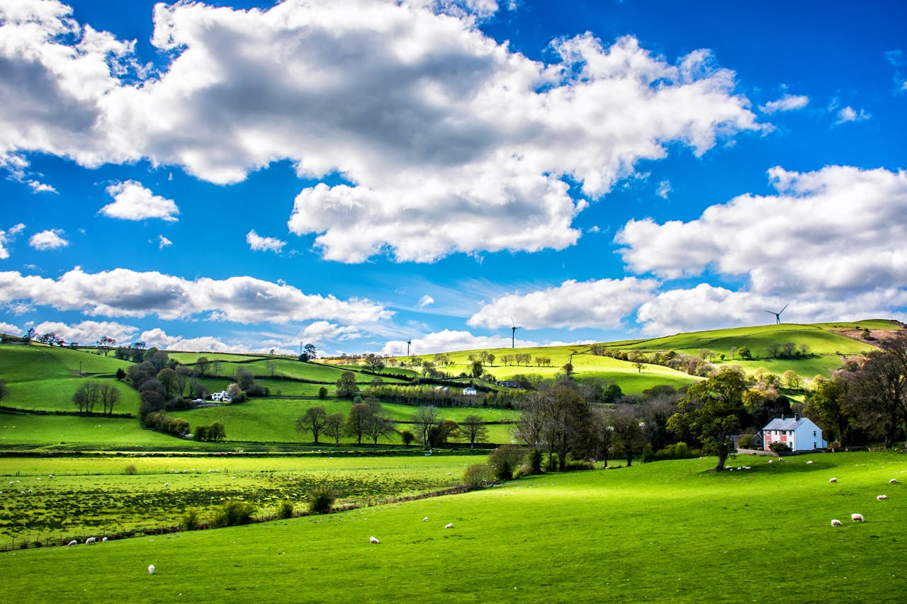 Scenic countryside landscape with green rolling hills, sheep, and a farmhouse under a vibrant blue sky.